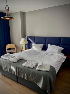 Flat in Bakuriani forest - 9