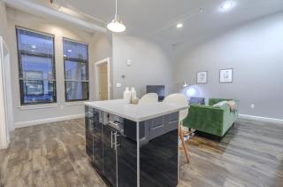 Boston Common Loft with Washer Dryer - Boston - 4