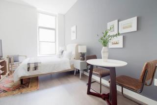 Airy Studio Downtown Boston Pet Friendly - 4