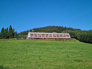 Apartmán Na Ramzové - Ostružná - 9