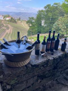 Quinta de Santa Júlia - Peso da Régua - 9