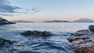 Senja Beach Lodge - - 0