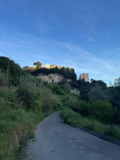 Appartement Jardin 10mn centre - Nice - 1