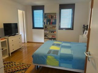 Downtown apartment with private bathroom - Mendrisio - 0
