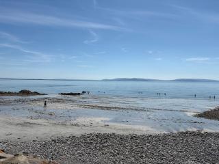 Seaside Garden Sanctuary Apartment - Galway - 1