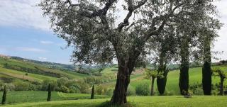 Casa Ricci - 8