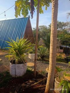 Bungallow A - El Quije - 3