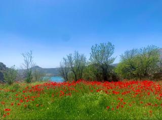 Casa Rural Miravella - 1