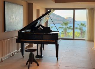 Blue Angel Villa Luxury Seafront Estate - Porto Rafti - 8