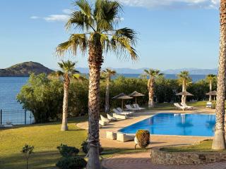Blue Angel Villa Luxury Seafront Estate - Porto Rafti - 9