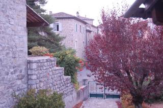 MAS DUMAS - Maison de village en pierre avec jardin privé - Chandolas - 7