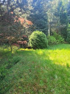 Bukowinka - dom pod lasem - 3