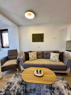 Cozy Apartment near Rruga B - Pristina - 6