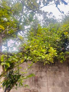 Apartamento SamSay III - San Isidro - 8