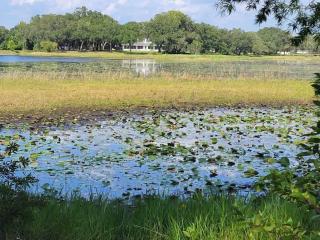 Life at the lake - Inverness - 5