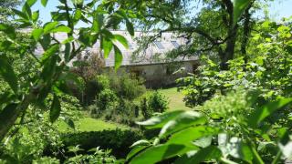 Cowshed - Cosy Cottage - 2