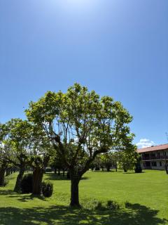 Appartement T4 à 200m de la plage - Saint-Jean-de-Luz - 5