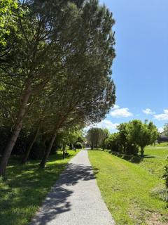 Appartement T4 à 200m de la plage - Saint-Jean-de-Luz - 6