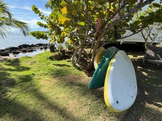 Bungalow les pieds ds l eau, La Maison Bleue - 5