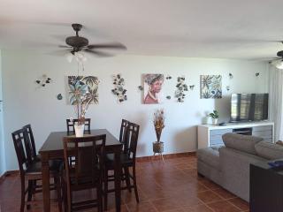 Tropical Caribbean Penthouse - Fajardo - 9