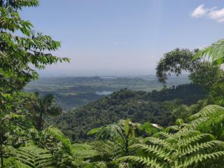 Tropical Caribbean Penthouse - Fajardo - 1