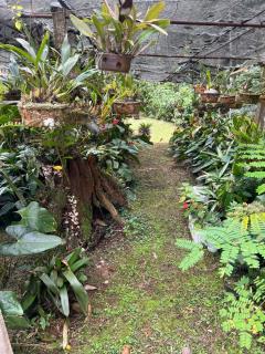 Sítio Som das Águas - 1