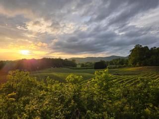 Cabin on Gold Mine Hill - Hendersonville - 9