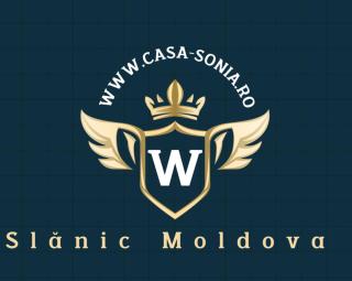 Casa Sonia - Slănic-Moldova - 0