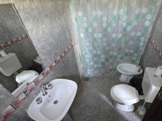 Cabañas cerro pelado - 1