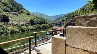 Finca Pacio - - 0