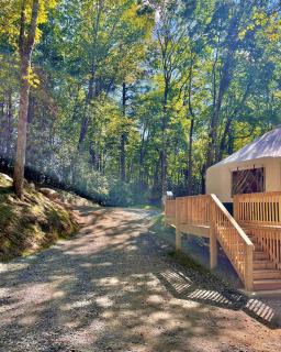 Pala Chino Yurt - Next to Nantahala Weddings - 2