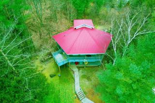 Stunning all season Cottage surrounded by nature! - 9