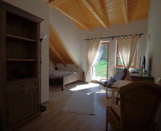 Landgut Seebühne - Aparthotel Steigerwald - Vestenbergsgreuth - 7