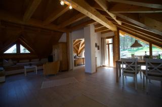 Landgut Seebühne - Aparthotel Steigerwald - Vestenbergsgreuth - 5