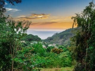 Bambooze Eco BnB Cabin and therapeutic sulphur baths - 6