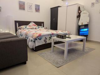 Cozy Studio apartment big place - Abu Dhabi - 6