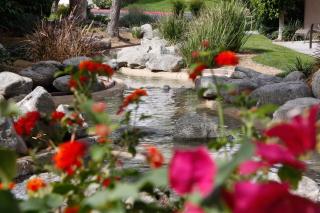 Shadow Mountain Resort - Palm Desert - 3