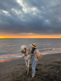 sunshine Homestay - Kuta Lombok - 3