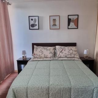 Departamento Vicuña 3 - Santiago - 0
