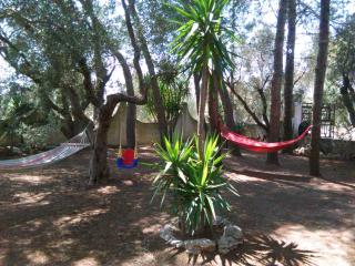 Casa Vacanze La Pineta - Taviano - 0