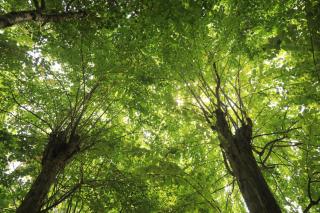 COCO VILLA Yatsugatake - Vacation STAY 28845v - Hokuto - 3