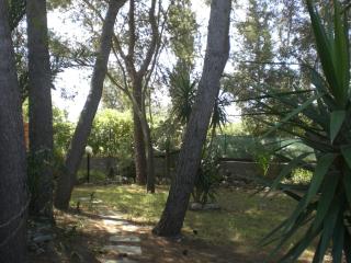 Casa Vacanze La Pineta - Taviano - 9