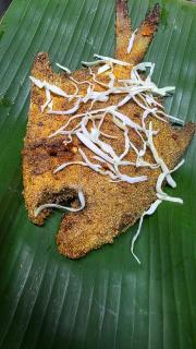 Coco Palm Eco Resort - Achra - 8