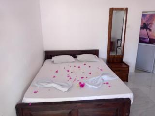 Attale Resort - Tissamaharama - 4