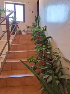 Casa antiga Plateau - Praia - 1