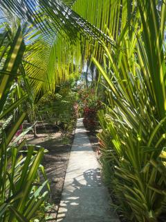 Secret Paradise - Cocles - 2