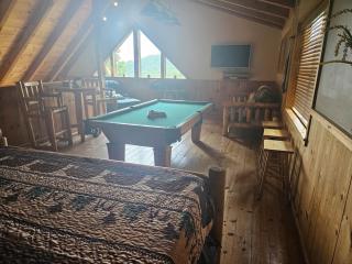Little Bear Paws - Sevierville - 6