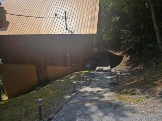 Little Bear Paws - Sevierville - 4