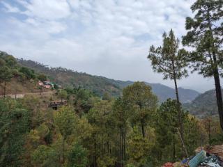Samar villa near kasauli - - 8