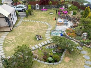 Sarah's Small Garden - 7